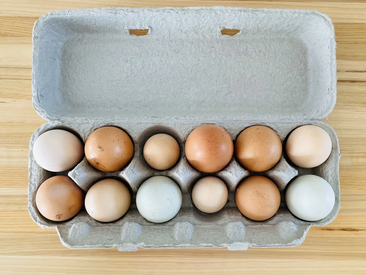 Telur dengan beragam warna cangkang di dalam karton
